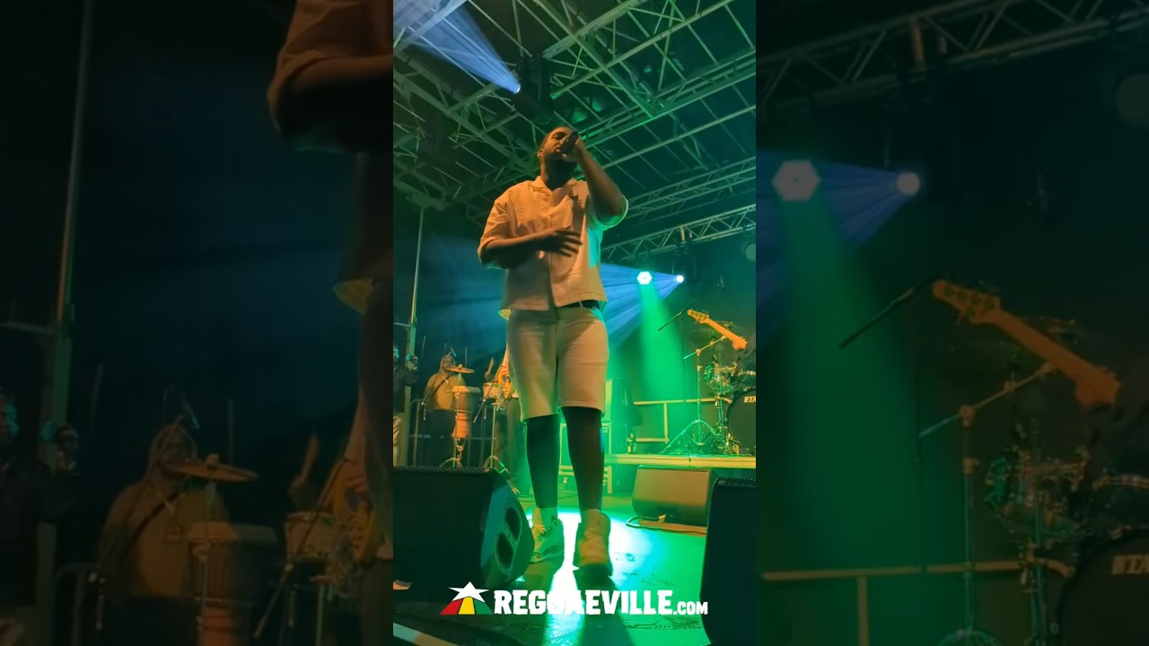 Teejay @ Reggae in Wulf 2025 [8/1/2025]