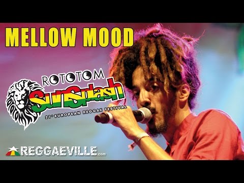 Mellow Mood - Dance Inna Babylon @ Rototom Sunsplash 2014 [8/18/2014]