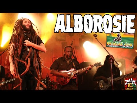 Alborosie - Herbalist | Can't Cool | Rock The Dancehall @ Reggae Jam 2016 [7/31/2016]