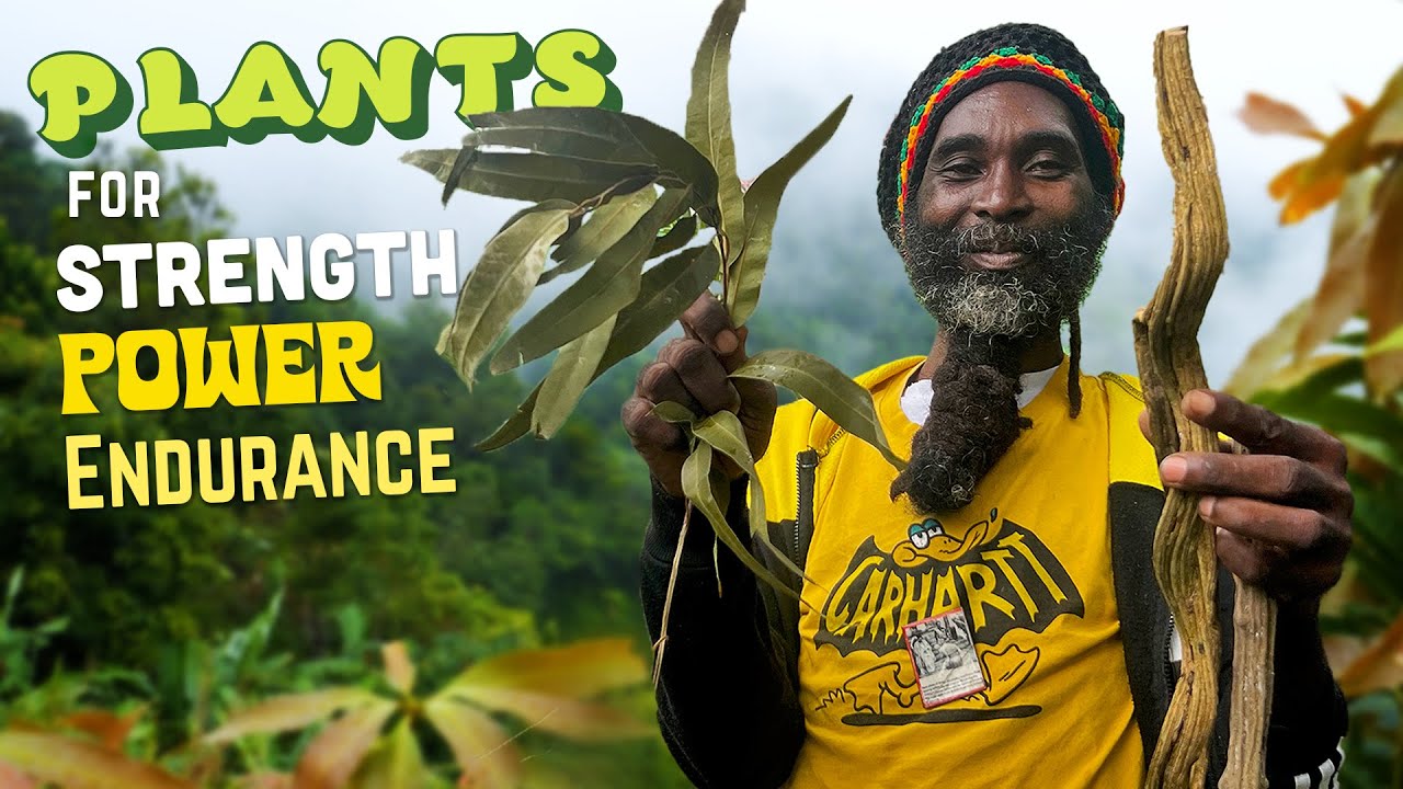 Ras Kitchen - Plants for Strength, Power & Endurance Masterclass with Buru [8/18/2023]