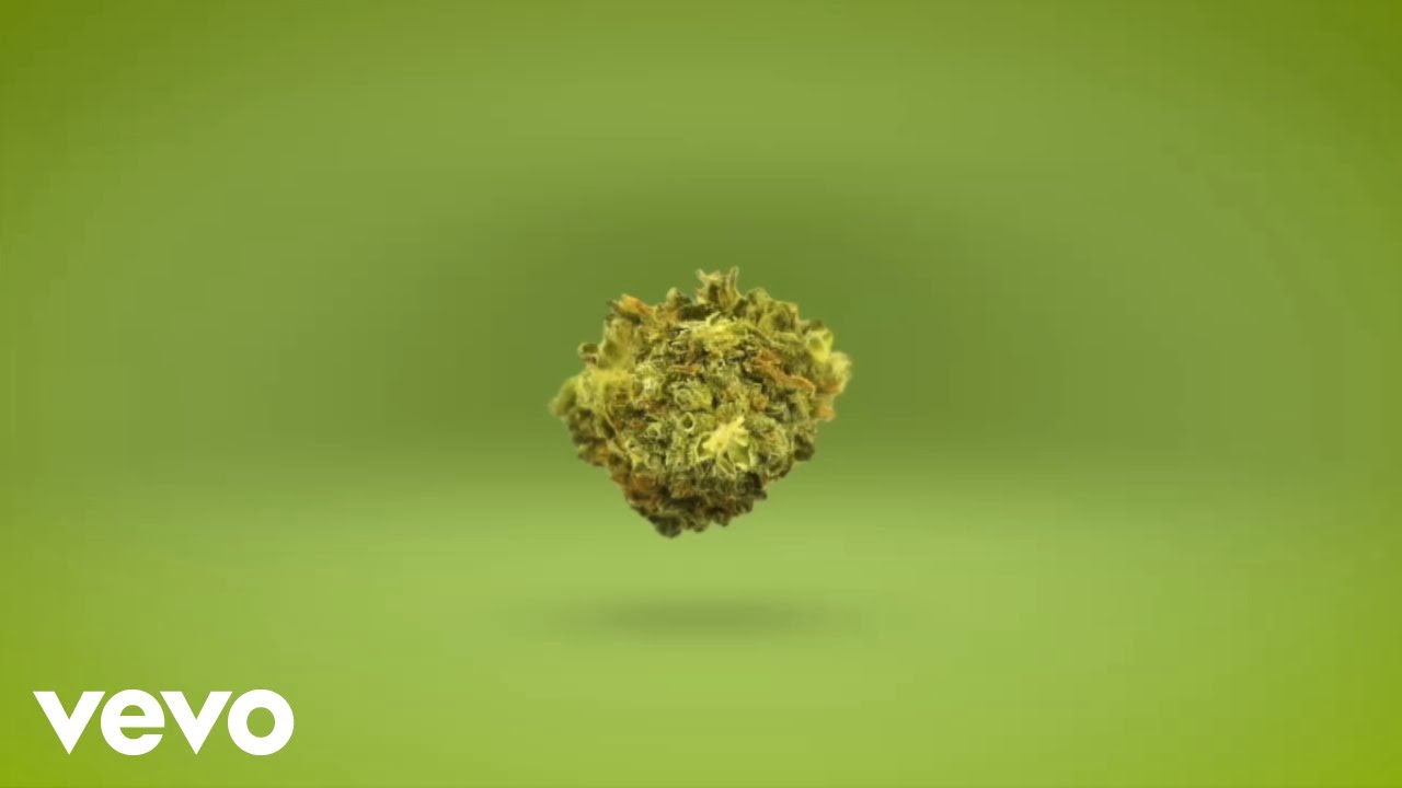 Teflon Young King - On My Mind (Lyric Video) [4/18/2025]