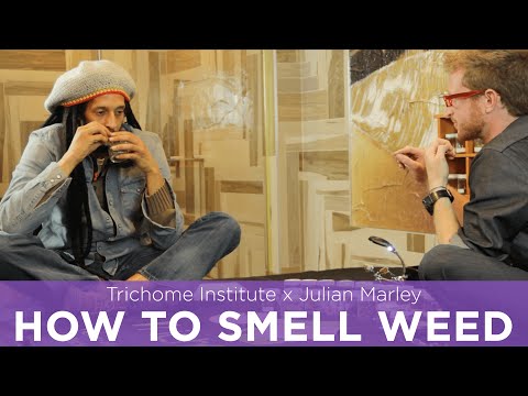 Smelling Weed with Julian Marley and Trichome Institute [6/2/2016]