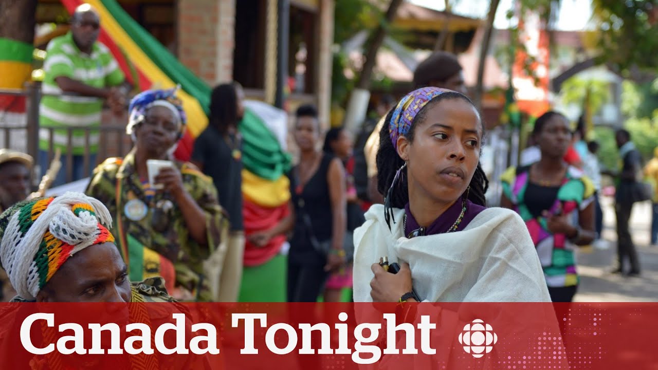 Donisha Prendergast About Bob Marley: One Love Biopic @ Canada Tonight | CBC News [2/10/2024]