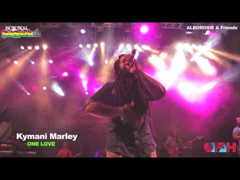 Alborosie & Ky-Mani Marley - One Love @ Rototom Sunsplash 2012 [8/17/2012]