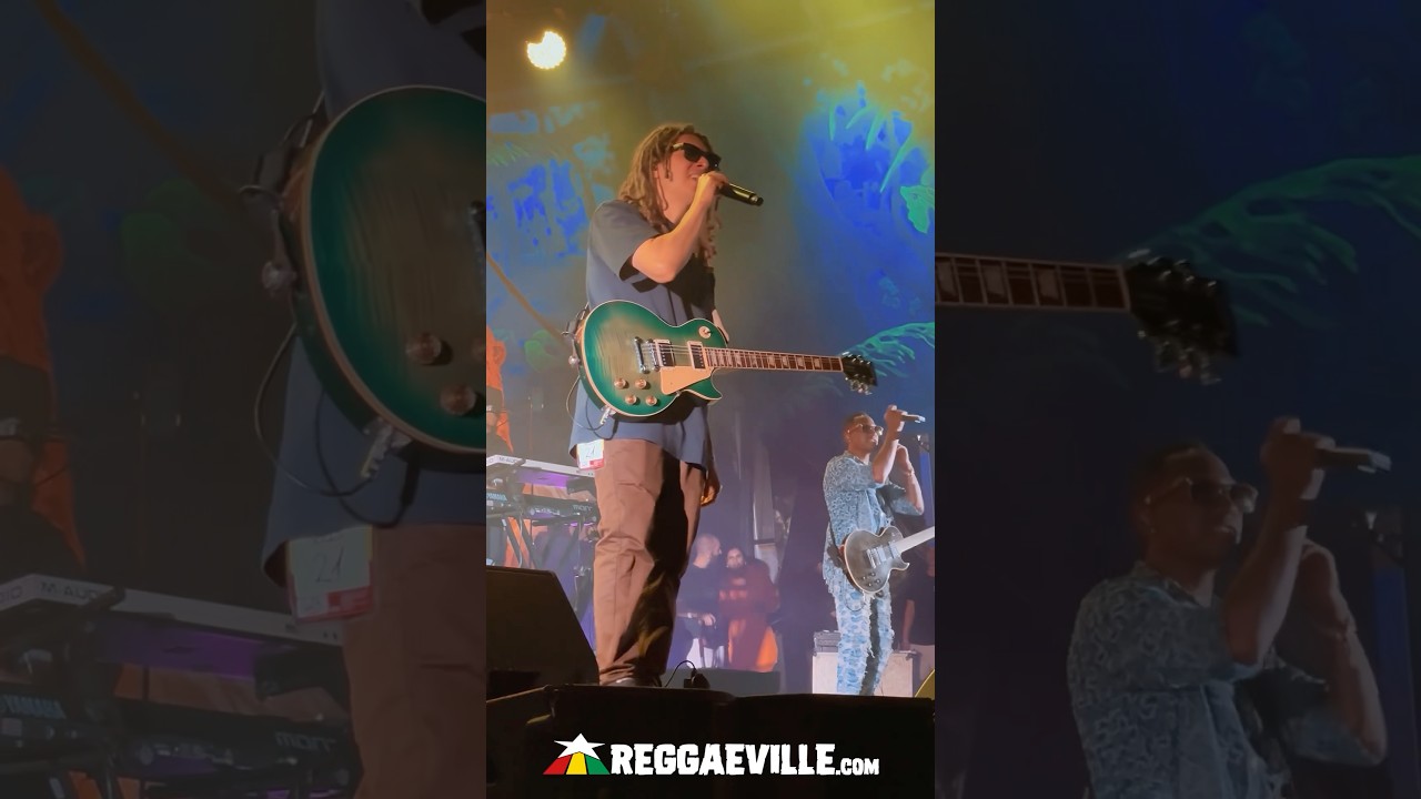 Tribal Seeds @ Rototom Sunsplash 2025 [8/21/2025]