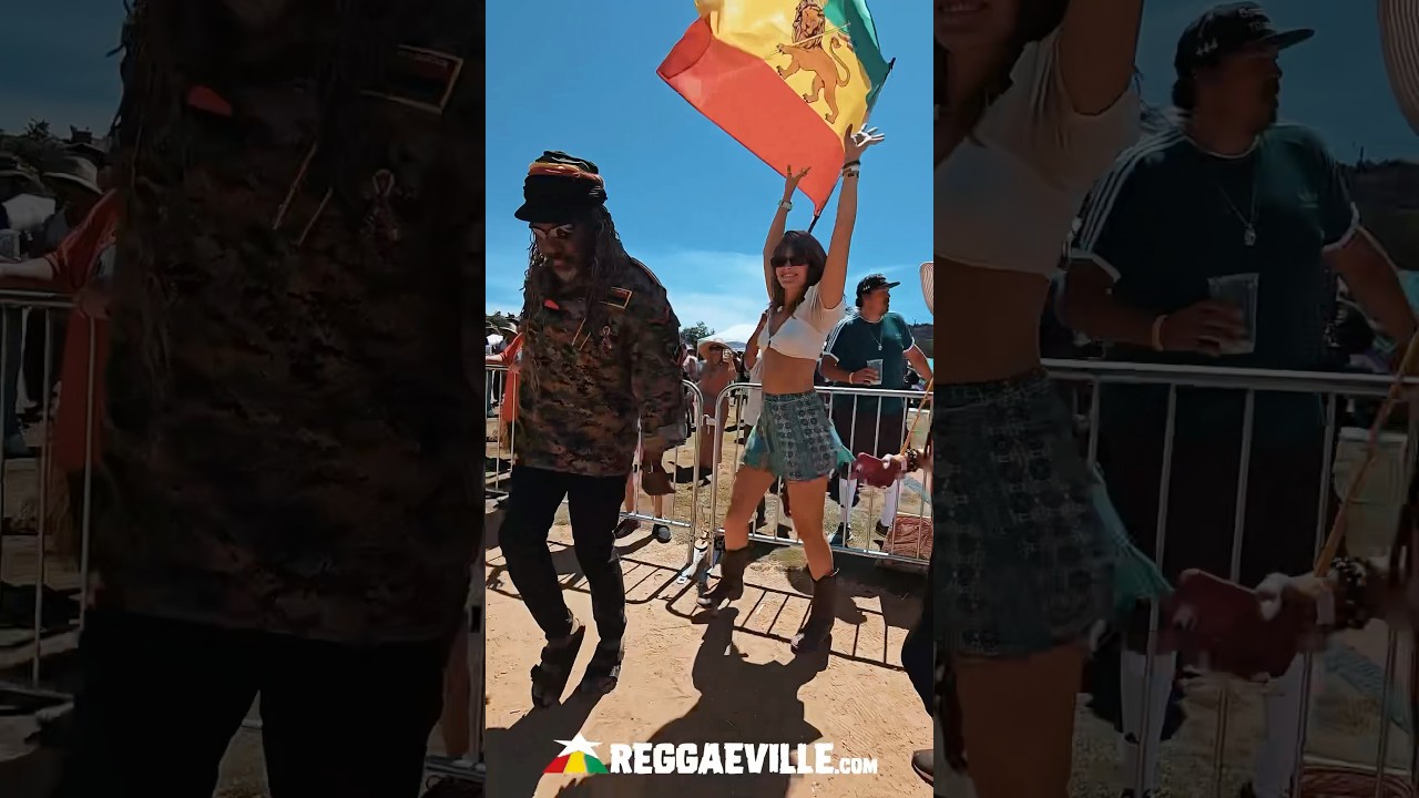 Dancing Vibes @ Reggae on the Mountain 2025 [7/26/2025]
