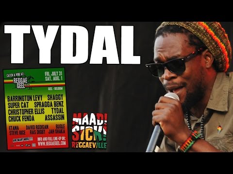 Tydal Kamau - Somewhere In Africa @ Reggae Geel 2015 [7/31/2015]