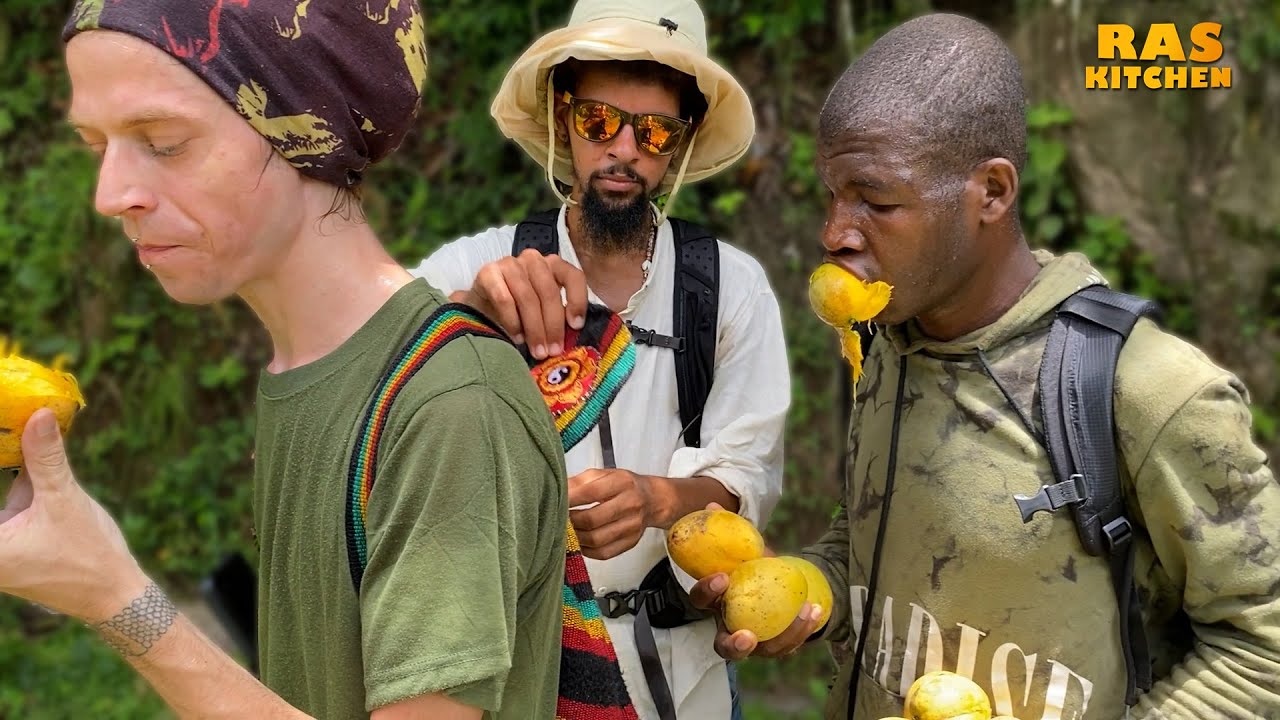 Ras Kitchen - Mango Mountain! Hiking Mount Felix