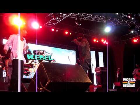 Beres Hammond @ Rebel Salute [1/18/2013]