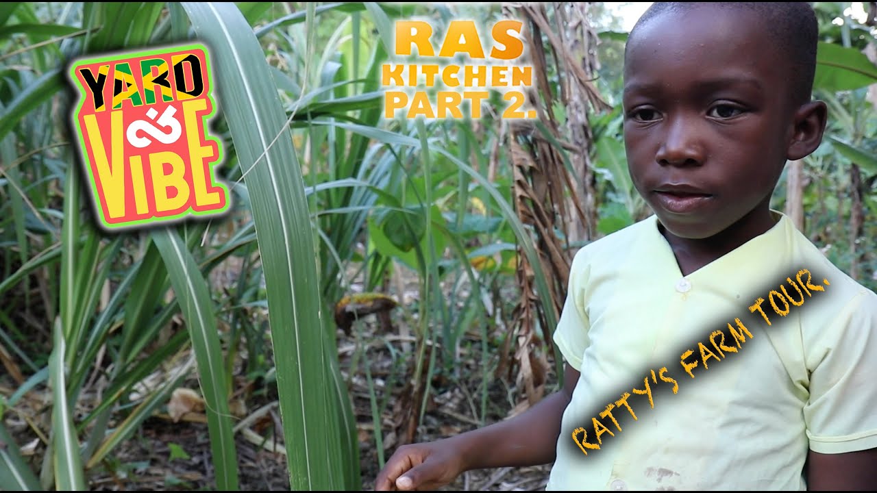 Cook N Vibe @ Ras Kitchen - Ratty's Farm Tour [5/8/2020]