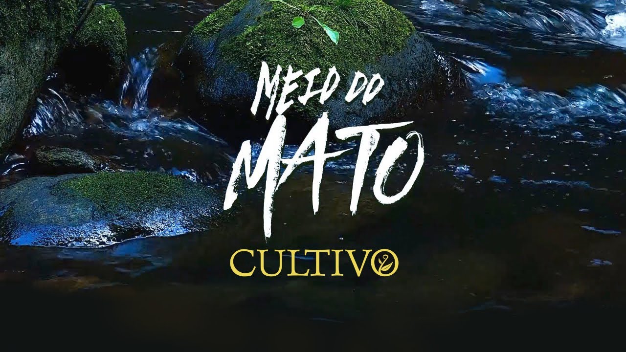 Cultivo - Meio do Mato [9/13/2019]