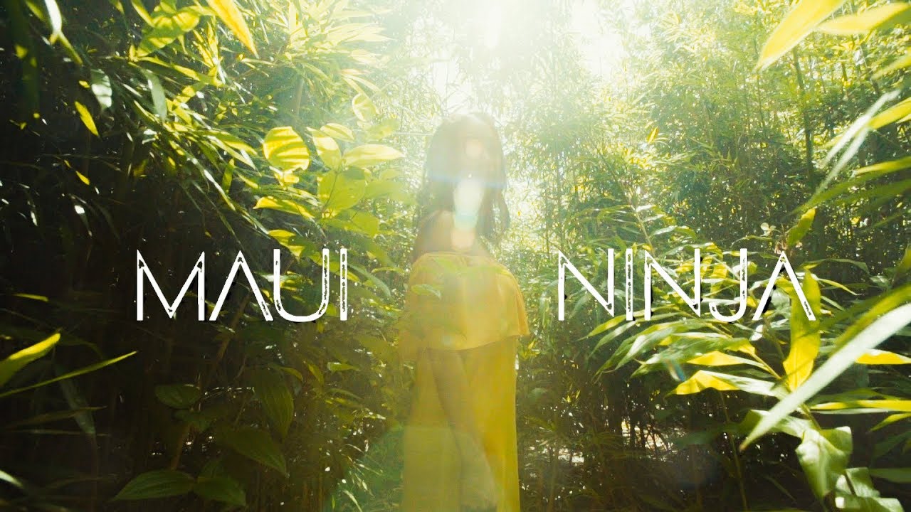 The Green - Maui Ninja (Lyric Video) [10/19/2017]
