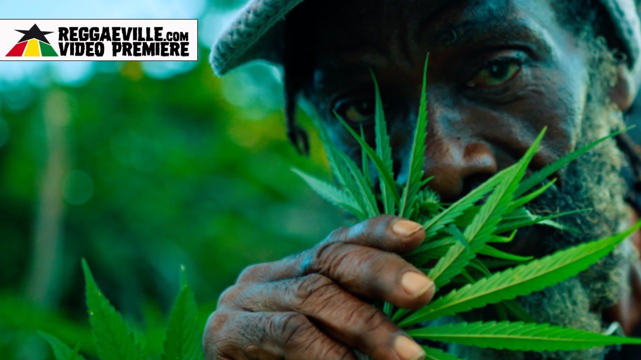 Bobo Naturall - Pass Di Herb [8/8/2025]
