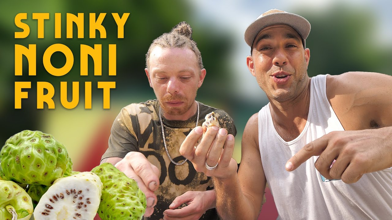 Ras Kitchen - Noni Fruit and Strongback taste test with M Dot R & Ratty [4/3/2020]