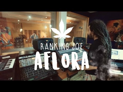 Aflora feat. Ranking Joe - No Más Guerra [10/14/2016]