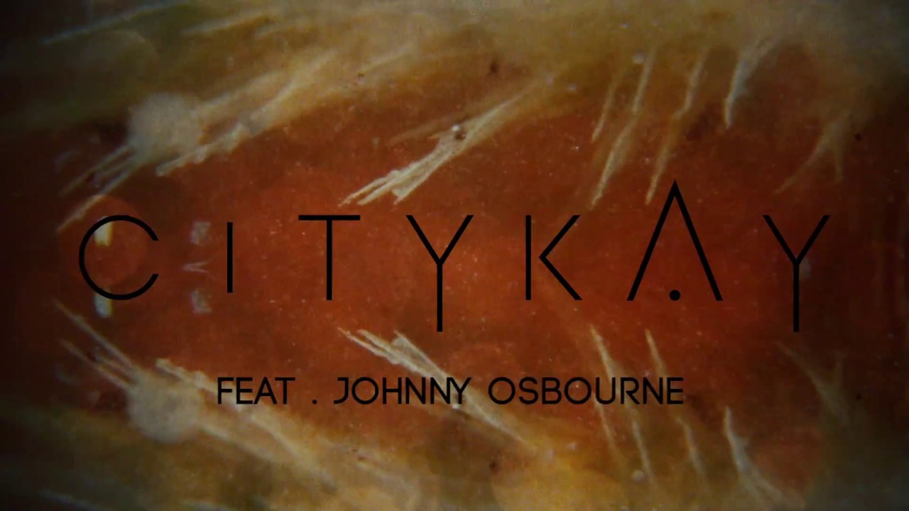 City Kay feat. Johnny Osbourne - Throw Away Your Guns [12/3/2016]