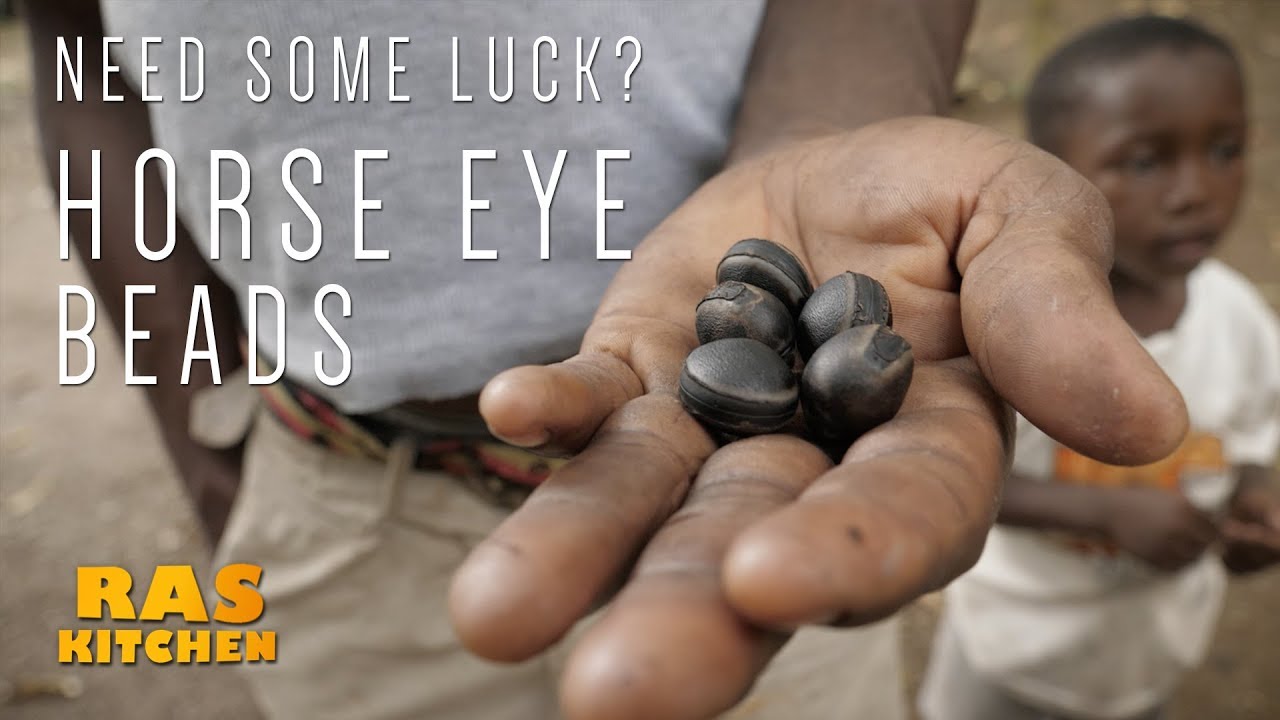Ras Kitchen - Horse Eye Beads with Coppy and Ratty [11/13/2017]