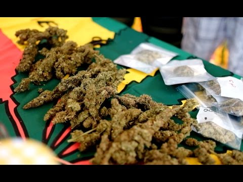 Interviews #1 @ High Times World Cannabis Cup 2015 [11/20/2015]