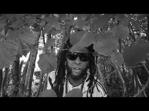Joseph Lalibela meets Vibronics and The Mafia & Fluxy Band - Ancient [3/21/2025]