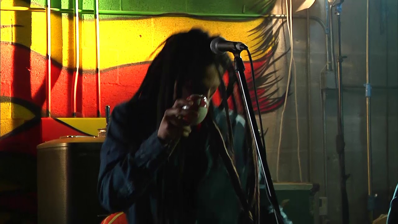 Stephen & Julian Marley - The Heathen @ Bob Marley Birthday Celebration 2018 [2/6/2018]
