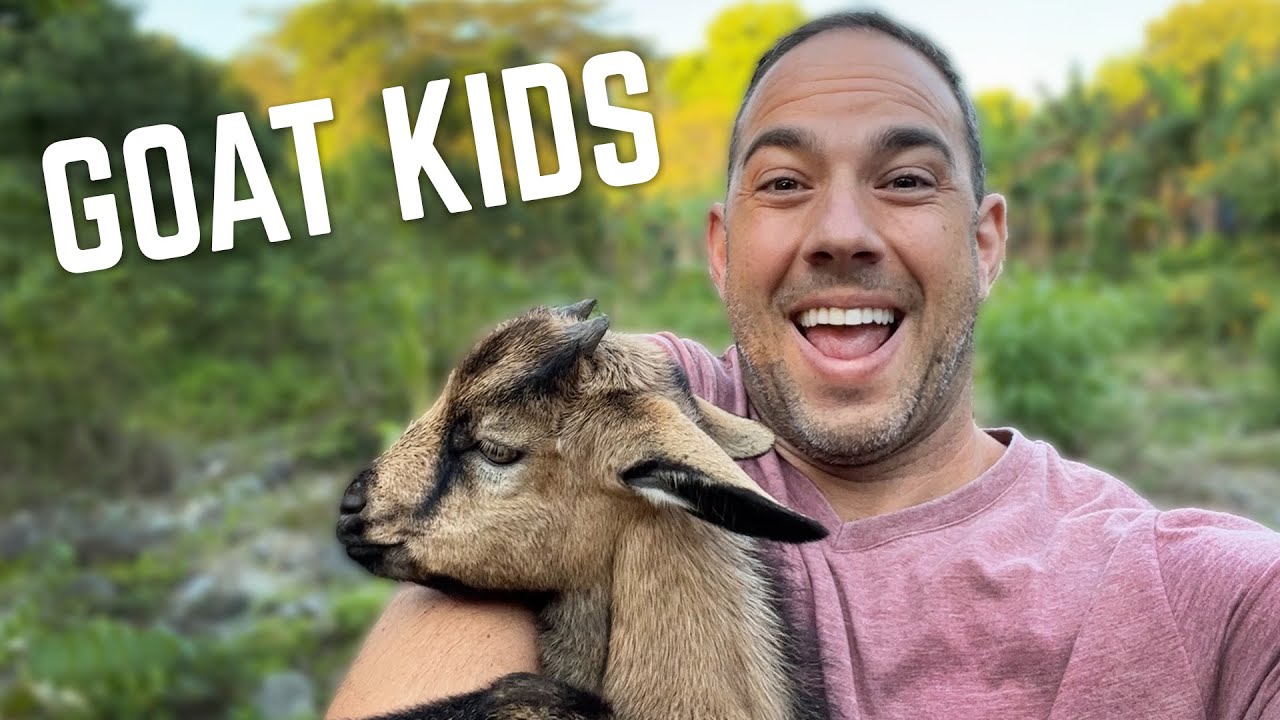 Ras Kitchen - Goat Kids on the Yard! Kiddy & Finey [5/16/2022]