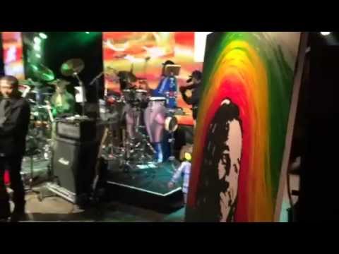 Live Art Al Scholl with Ziggy Marley @ California Roots Festival [5/24/2014]