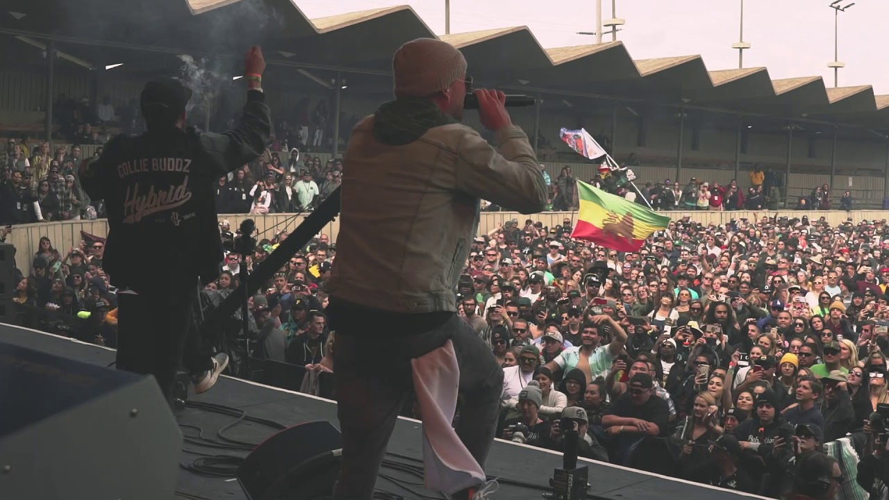 Collie Buddz @ California Roots Festival 2019 (Recap) [5/30/2019]