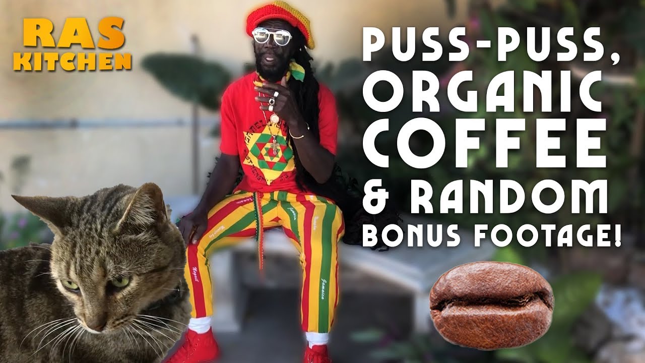 Ras Kitchen - Puss-Puss, Organic Coffee & Random Extra Footage! [9/25/2019]