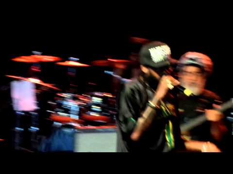 Tarrus Riley - Medley @ Reggae In The Park 2015 [8/29/2015]