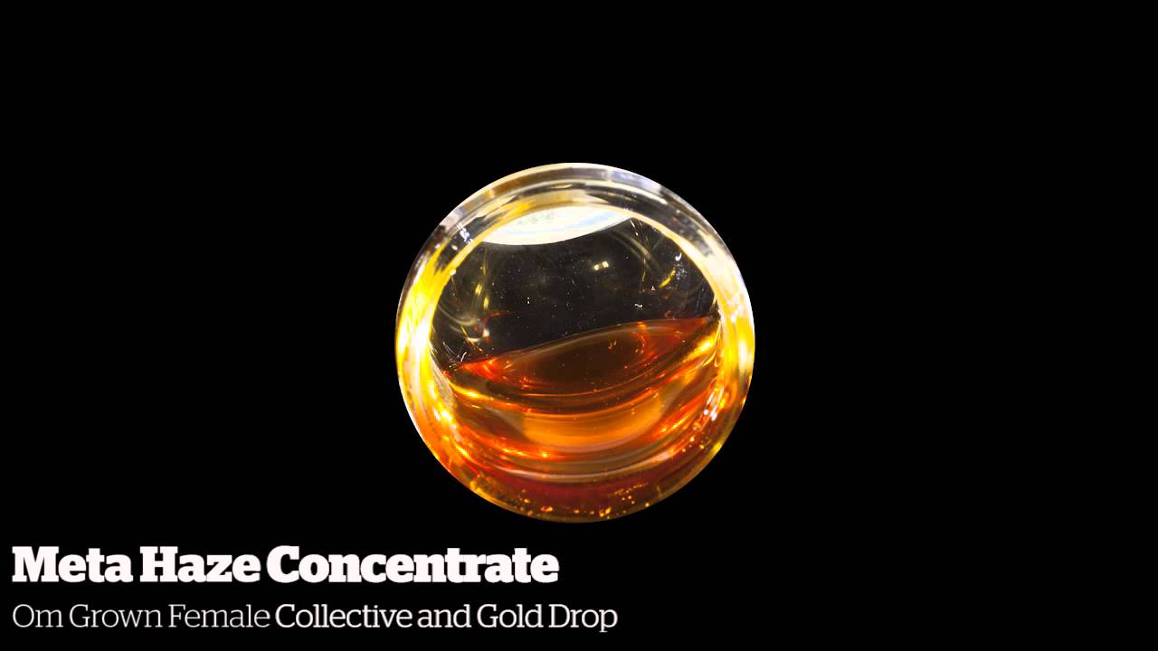 High Times World Cannabis Cup 2015 - CBD Entries [11/14/2015]
