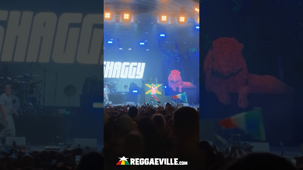Shaggy @ Rototom Sunsplash 2025 [8/19/2025]