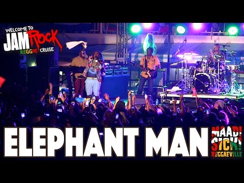 Elephant Man @ Welcome To Jamrock Reggae Cruise 2015 [12/2/2015]