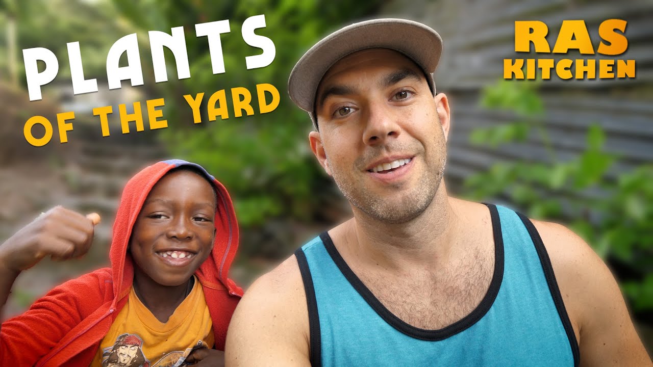Ras Kitchen - Plants of the Yard Tour with Ratty! Fruits, Vegetables & Beyond [1/15/2021]