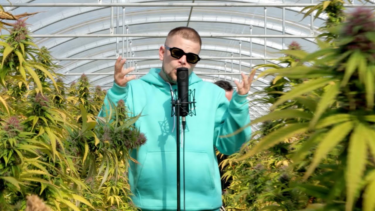 O.B.F x Charlie P - Trees [10/7/2022]