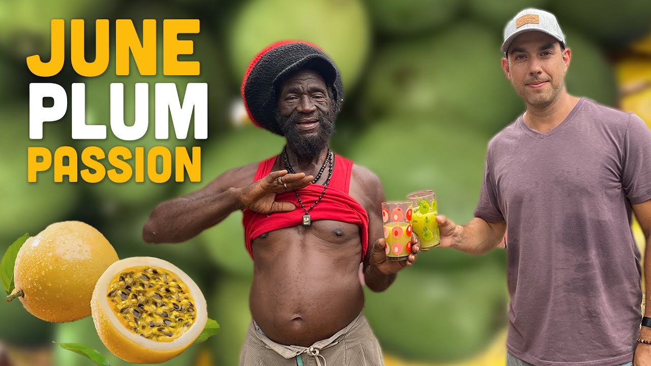 Ras Kitchen - June Plum Passion! Rasta Mokko Super Juice [11/5/2021]