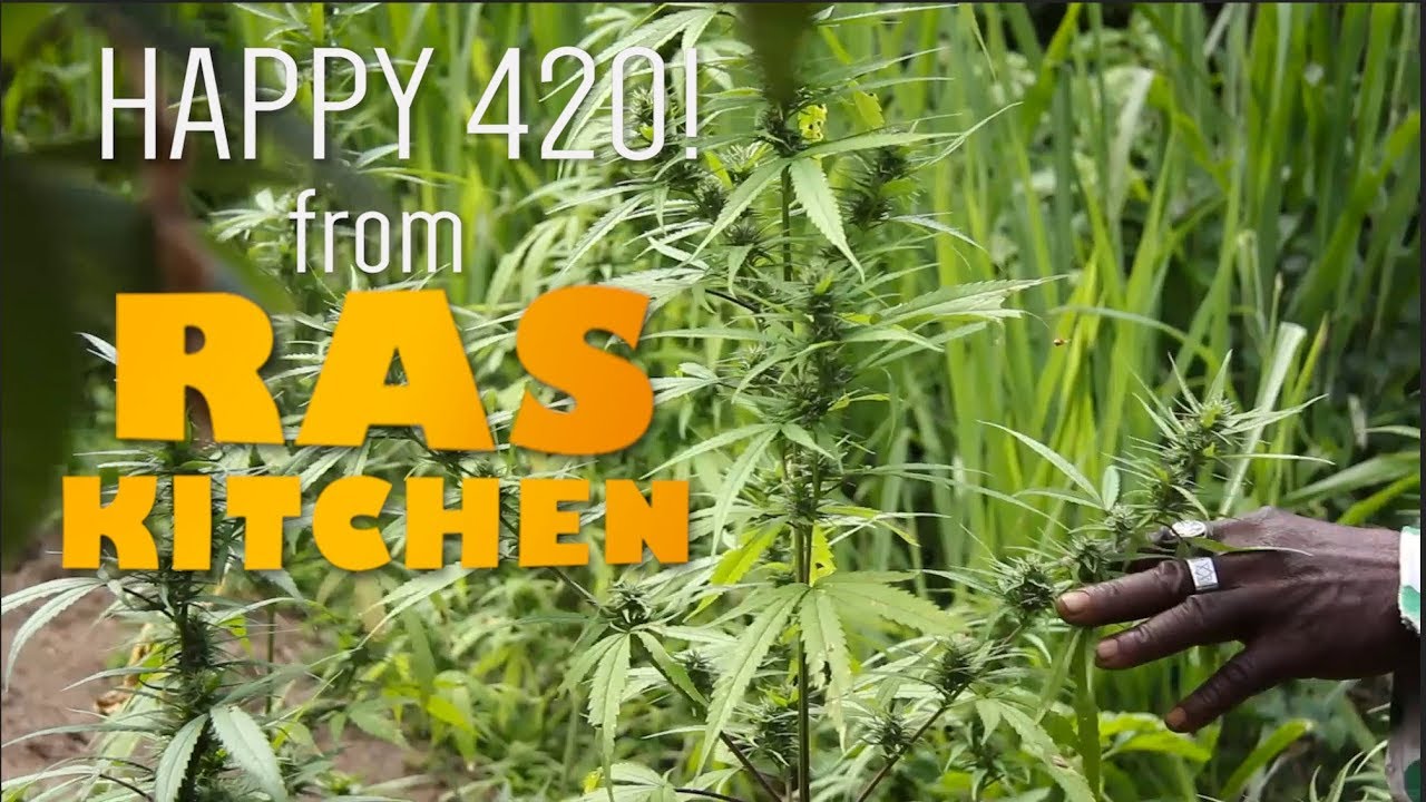 Ras Kitchen - Happy 420! Ganja and Gin for Asthma? [4/20/2018]