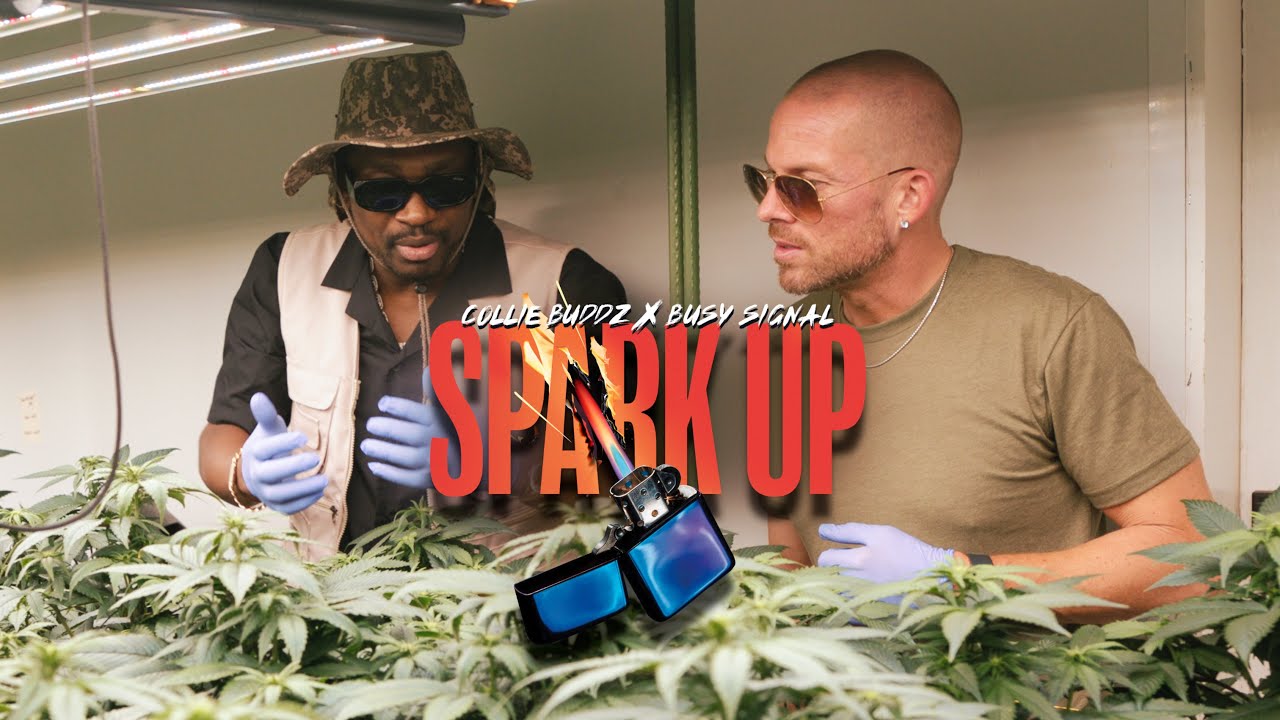 Collie Buddz x Busy Signal - Spark Up [5/8/2025]