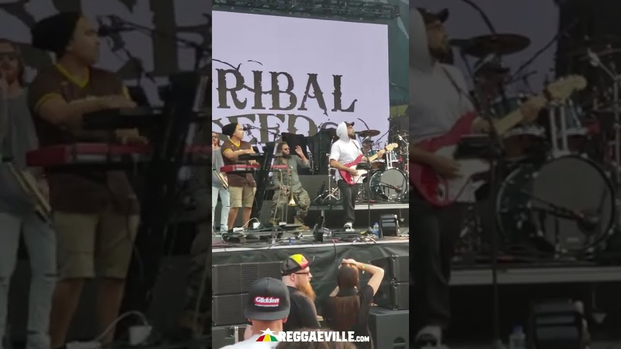 Tribal Seeds feat. Hector Lewis @ Lake Tahoe Reggae Festival 2022 [7/24/2022]