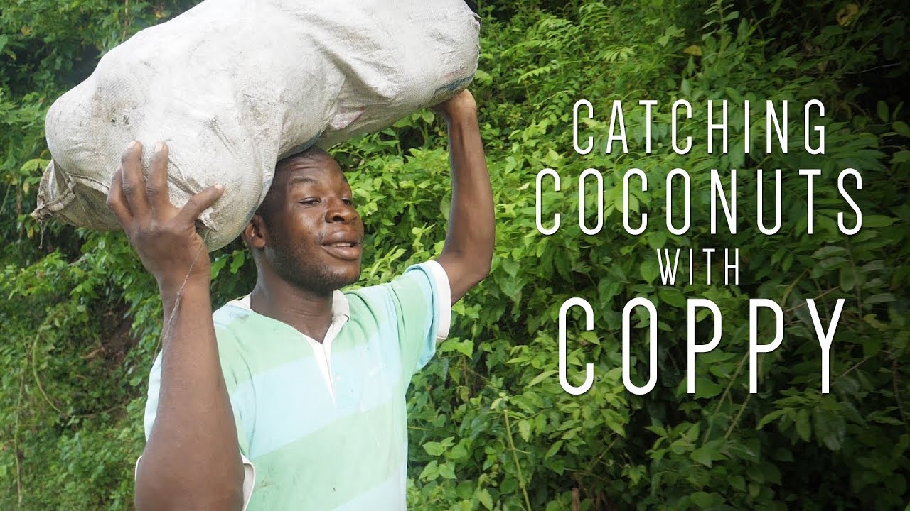 Ras Kitchen - Catching Coconuts with Coppy [6/15/2018]