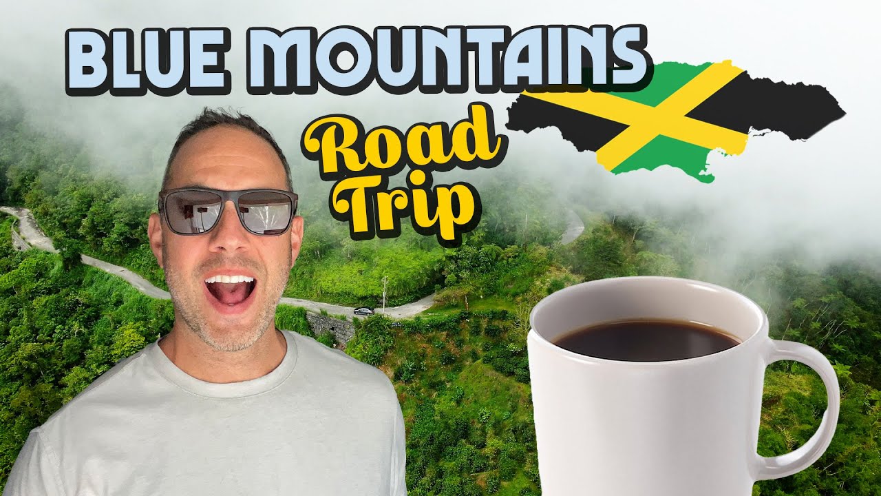 Ras Kitchen - The Most Beautiful Drive in Jamaica | Blue Mountain B1 [7/25/2023]