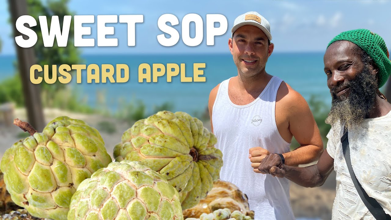Ras Kitchen - Trying Sweetsop for the first time [1/28/2022]
