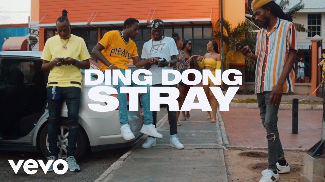 Ding Dong - Stray [11/7/2020]