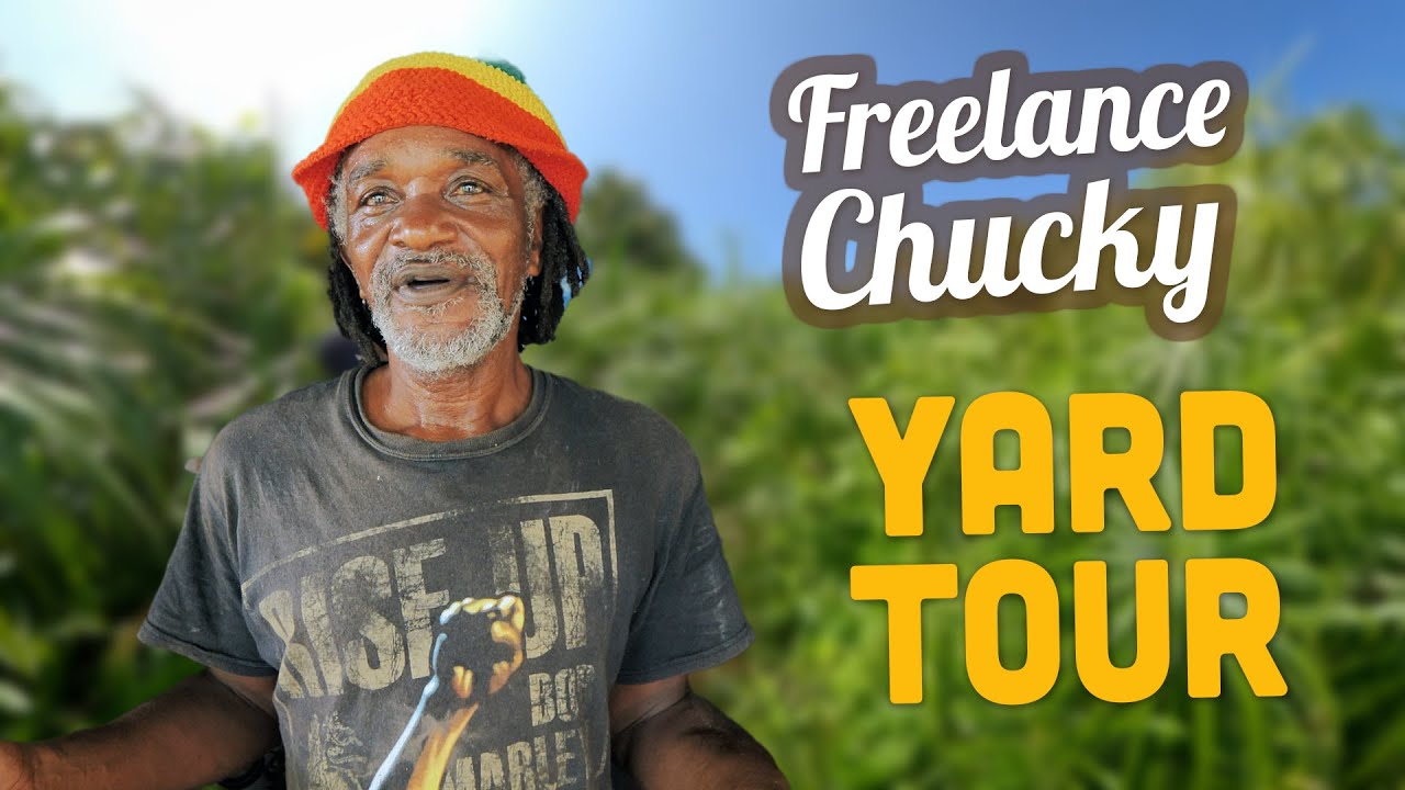 Ras Kitchen - Freelance Chucky's Yard Tour! New Bar & Freelance Vibes [12/14/2021]