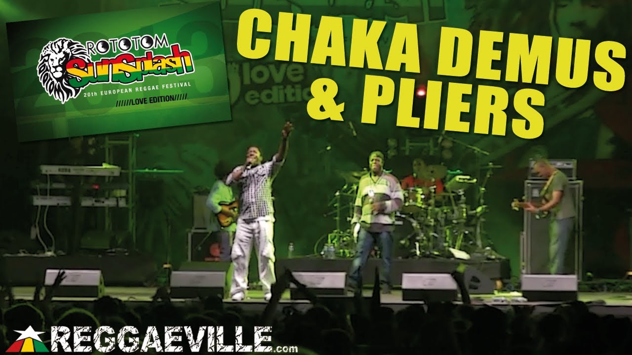 Chaka Demus @ Rototom Sunsplash [8/17/2013]