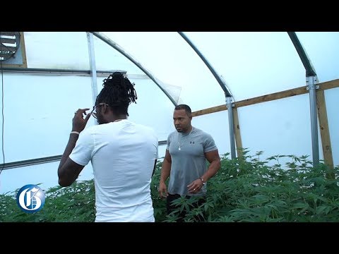 Aidonia visits Epican Farm (Jamaica Gleaner) [7/19/2019]