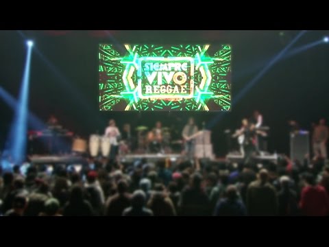 Siempre Vivo Reggae 2016 - Aftermovie [12/14/2016]