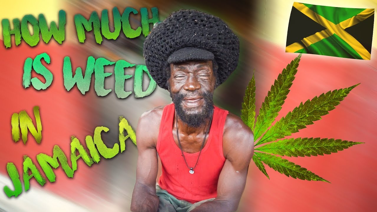 How much is the Ganja in Jamaica and more (BackpackingSimon Vlog) [3/28/2019]