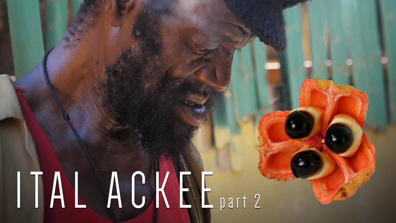 Ras Kitchen - Rasta Style Ital Ackee for Breakfast #2 [3/22/2019]