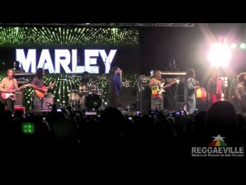 Stephen, Damian & Julian Marley @ 9 Mile Music Festival [3/3/2012]