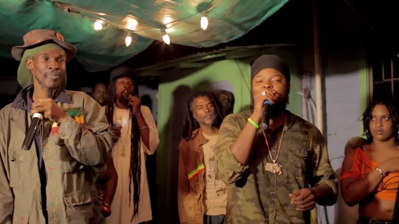 Dub in the Rainforest #4 (Part 1) [12/15/2013]